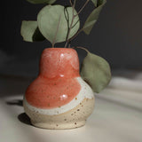Detail of handcrafted ceramic vase in coral red finish, containing dried eucalyptus branches, captured in natural daylight.