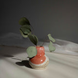 Handcrafted ceramic vase in coral red finish, containing dried eucalyptus branches, captured in natural daylight.
