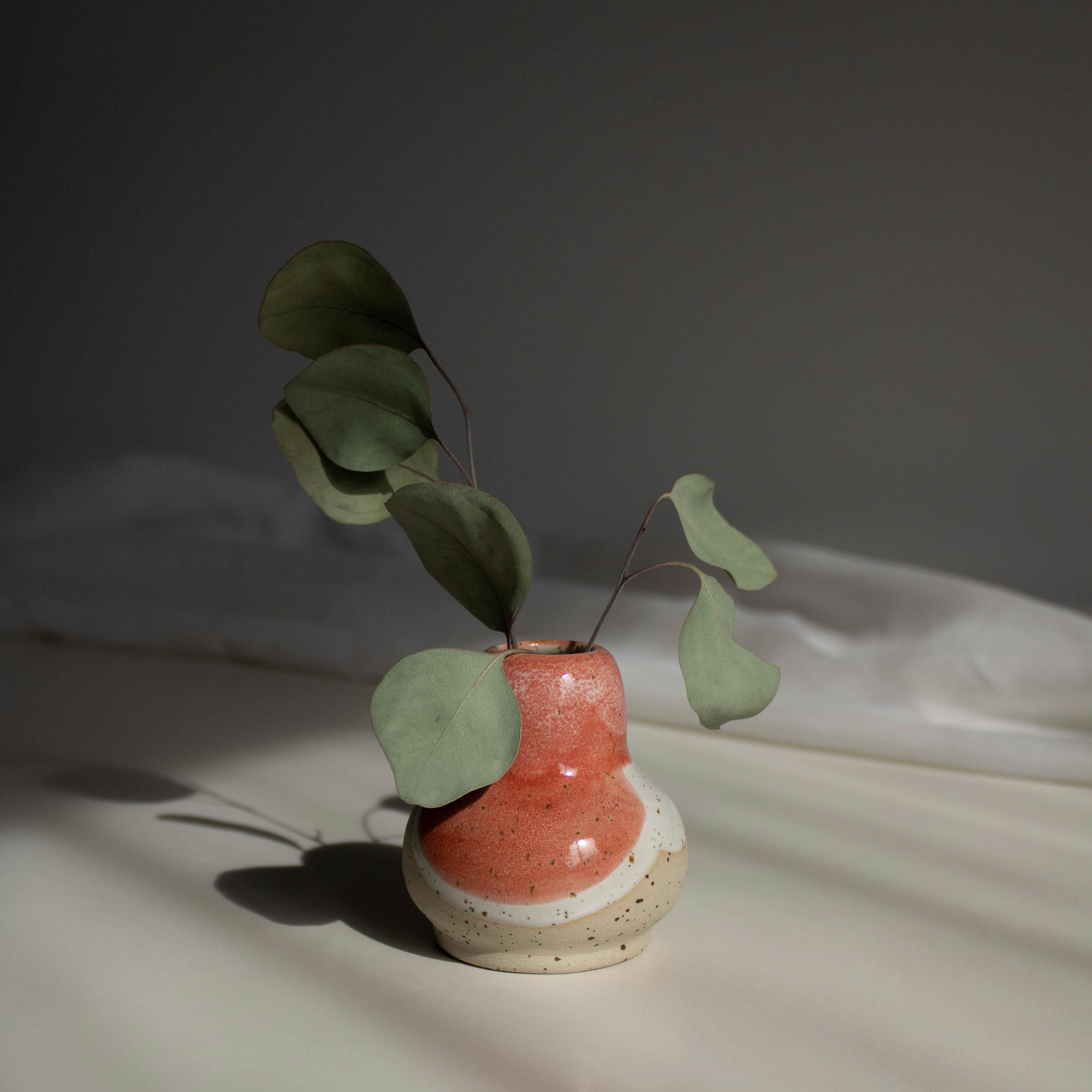 Handcrafted ceramic vase in coral red finish, containing dried eucalyptus branches, captured in natural daylight.