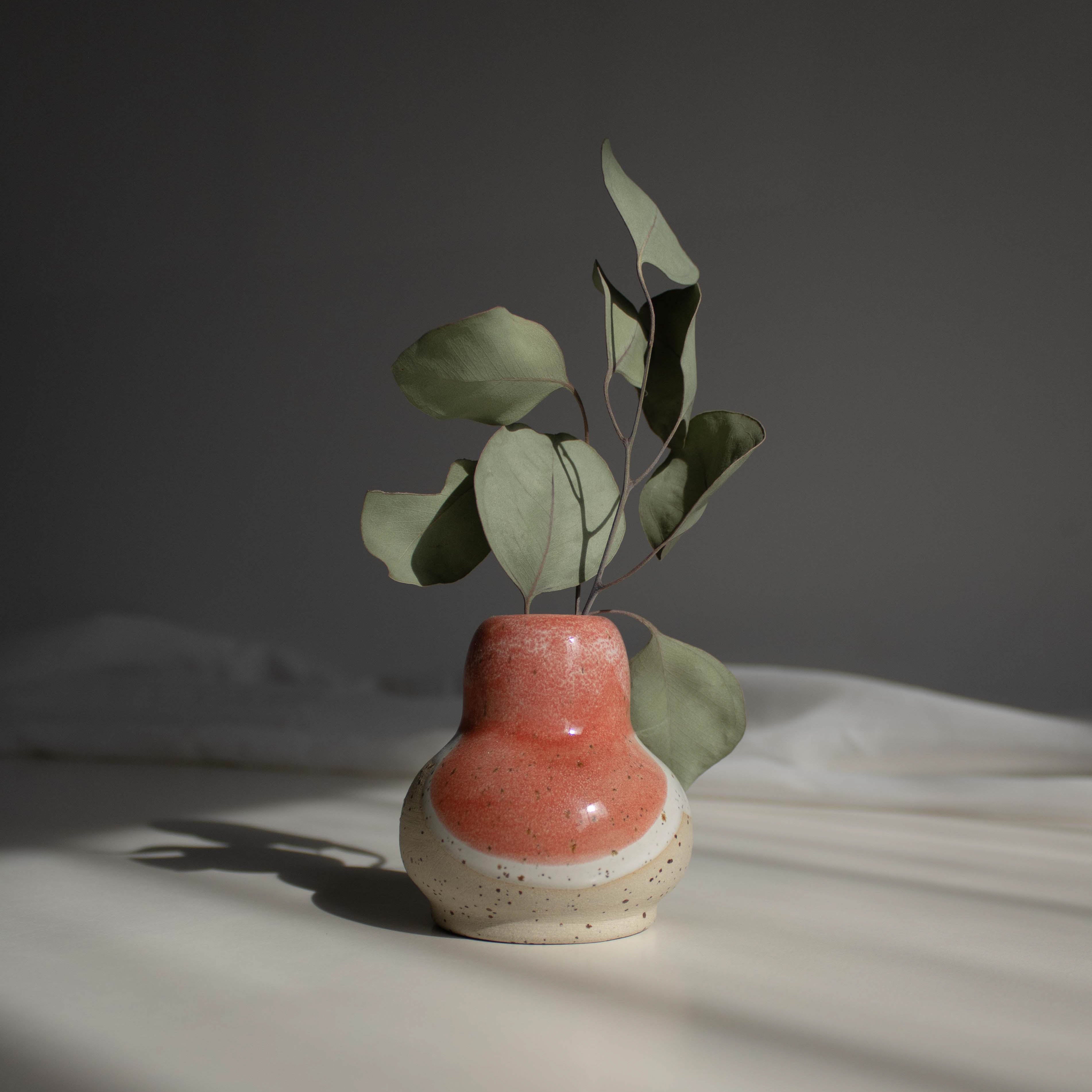 Handcrafted ceramic vase in coral red finish, containing dried eucalyptus branches, captured in natural daylight.