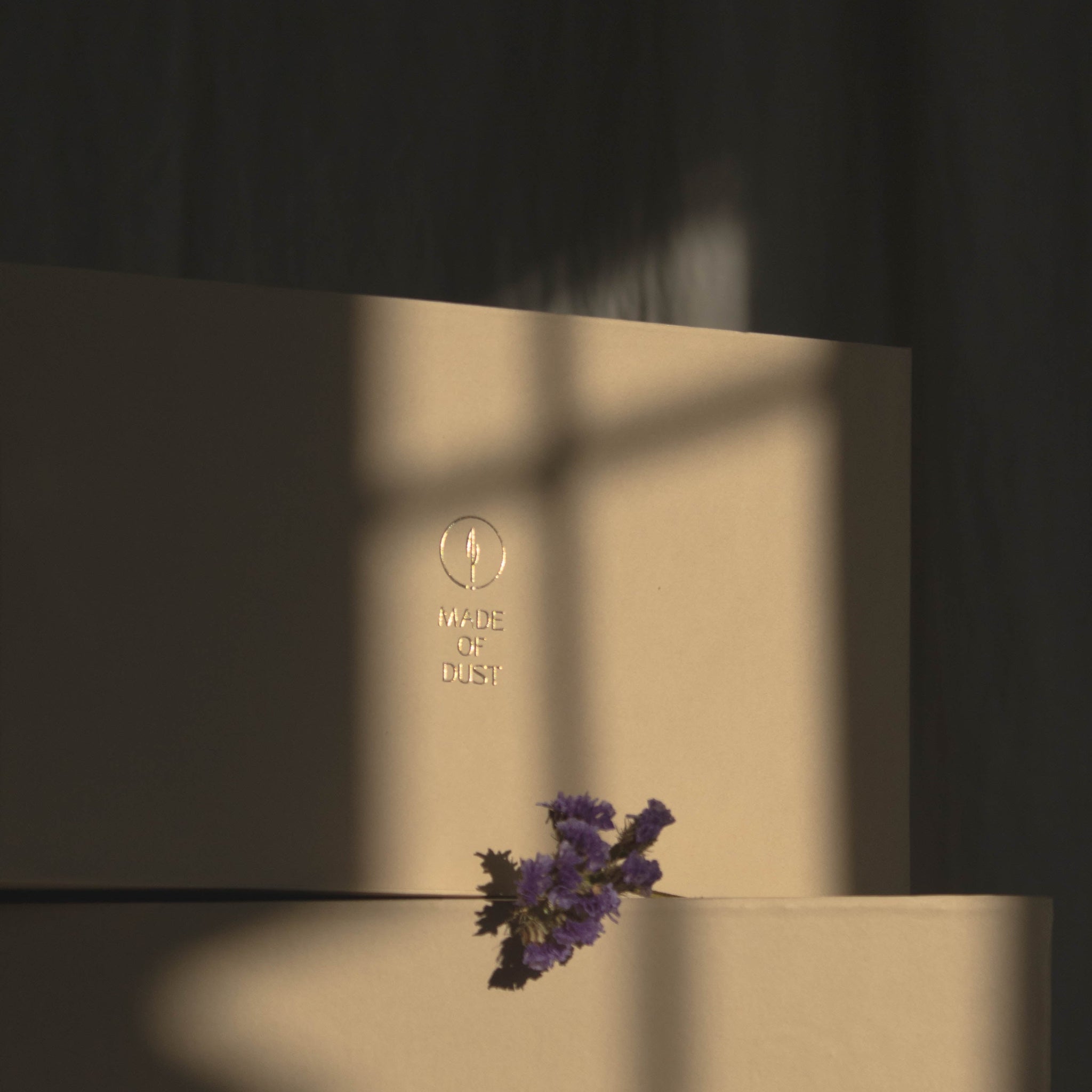Detail of warm beige Special Occasion Gift Box with a gold Made of Dust logo, shown in close-up.